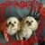 Debbie Phillips's profile image