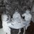 Laura Champeau's profile image