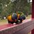 Brenda Simpson's profile image