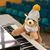 Carl Rowles's profile image