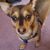 Rona Pienta's profile image