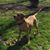 Bruce Dowdy's profile image