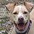 Terri James's profile image