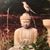 Karen S. Smith's profile image