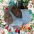 Sylvia Villarreal's profile image