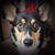 Lex Wilkerson's profile image