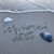 Allison Brazill Ricco's profile image