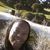Stacy Spivey-Mullinix's profile image