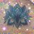 Sandra Carrasquillo Risi's profile image