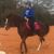 Bree Watson's profile image