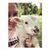 Jacqueline Dorris's profile image