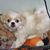 Amber Brewington's profile image