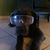 Justin Garman's profile image