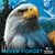 Pam Robison's profile image