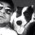 Tony Alvarez's profile image