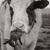 J. D. Kirkpatrick's profile image