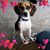 Darlene Strong's profile image