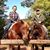 Susanna Giesey's profile image