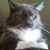 Joe Bardon's profile image
