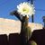 Michele Adney Aldrich's profile image