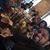 Chaleta Paige-Williams's profile image