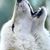 Bob Cooper Jr.'s profile image