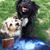 Tambra Lairmore's profile image