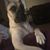 Bryan Pearre's profile image