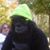 Nick Apple's profile image