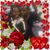Marie Caesar's profile image