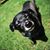 Cheryl Elam's profile image