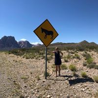 Karene Phillips's profile image