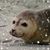 Margaret Allen Howell's profile image