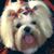 Elizabeth Calloway's profile image