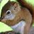 Charles Quinn's profile image