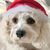 Yvonne Delap Kruse-Brauer's profile image
