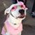 Shelly Entzminger's profile image