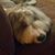 Kathleen Harold's profile image