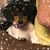 Lynn Paden Merritt's profile image