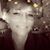 Kim Colburn Banks's profile image