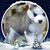 Kris Bryan's profile image