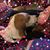 Betty Jo's profile image