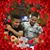 Mayra Cedano's profile image