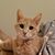 Amanda Marie's profile image