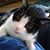 Robin Haas Oligny's profile image