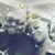 Zulema Buckner's profile image