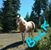 Debra Heberer's profile image