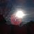 Alfredo Paner's profile image