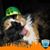 Ronald Herrera Williams's profile image