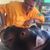 Lesley-Anne Brown's profile image